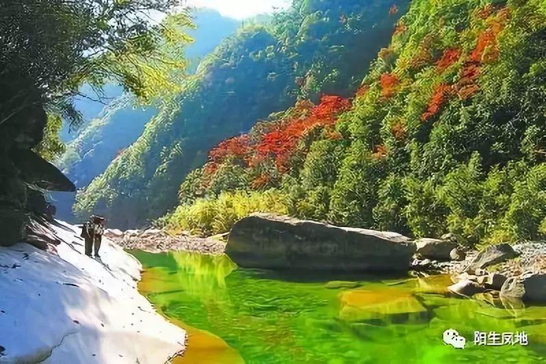 寻找5个差异